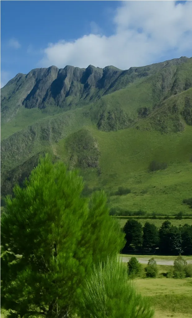 Áreas verdes