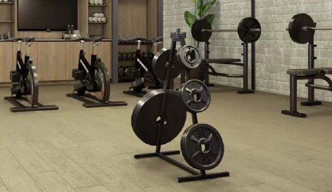 Gimnasio